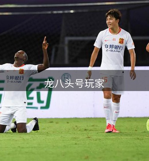 网站介绍